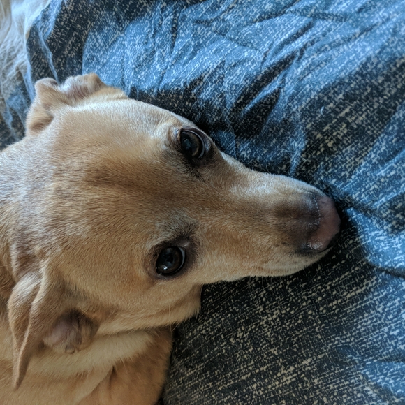 Meet your Posher, Erin - Picture 1 of 1